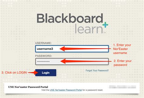 log in to blackboard dmu.